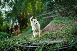 BIB: 
                            <button type="button" onclick="openModal(19425391)" class="btn btn-primary btn-sm float-right btn-popup" data-toggle="modal" data-target=".modal-high-quality">
                        <i class="fas fa-shopping-cart"></i> Add to Cart
                    </button>
                                            <button type="button" onclick="isThisMe(19425391, true)" class="btn btn-success btn-sm float-right btn-popup btn-isme hidden" data-toggle="tooltip" data-placement="bottom" title="นี่คือรูปของคุณใช่ไหม คลิกที่นี่เพื่อเอาเข้าอัลบั้ม">
                        <i class="fas fa-plus"></i> Add to album
                    </button>
                    <button type="button" onclick="isThisMe(19425391, false)" class="btn btn-warning btn-sm float-right btn-popup btn-isnotme hidden">
                        <i class="fas fa-ban"></i> Remove from album
                    </button>